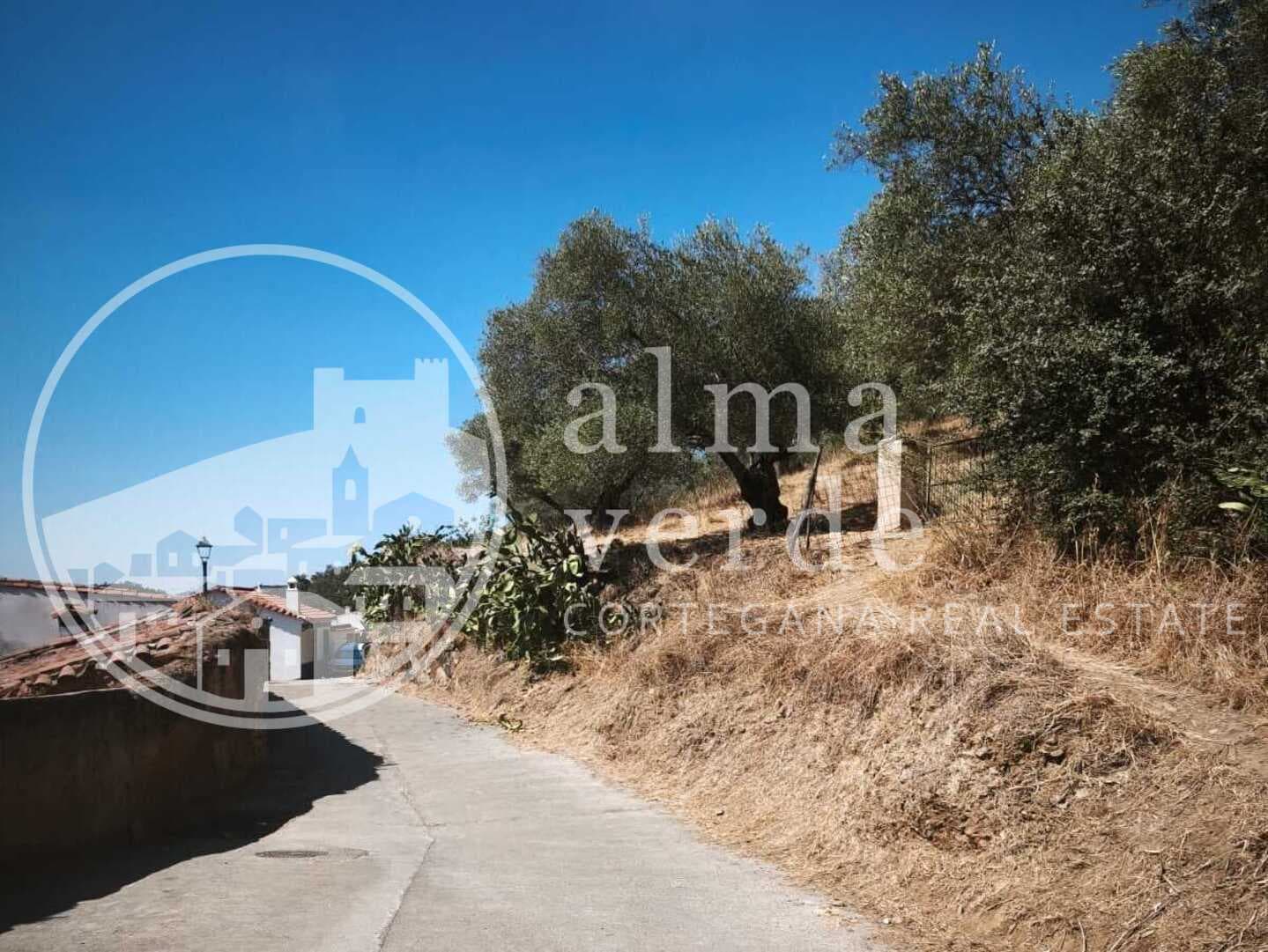 Country Estate with Breathtaking Views and Registered Ruin in Cañada del Oso - Image 2