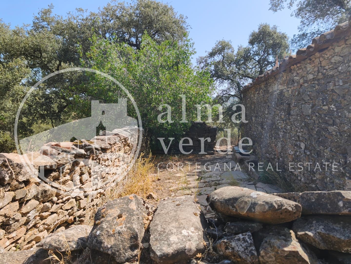 Magnificent 10-Hectare Shaded Estate with its Own Microclimate - Image 15