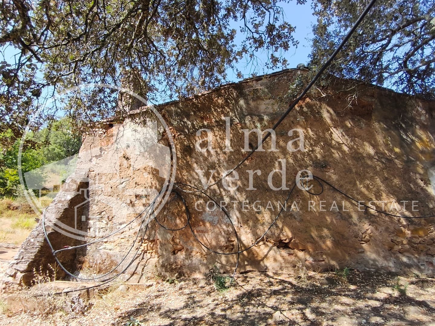 Magnificent 10-Hectare Shaded Estate with its Own Microclimate - Image 12