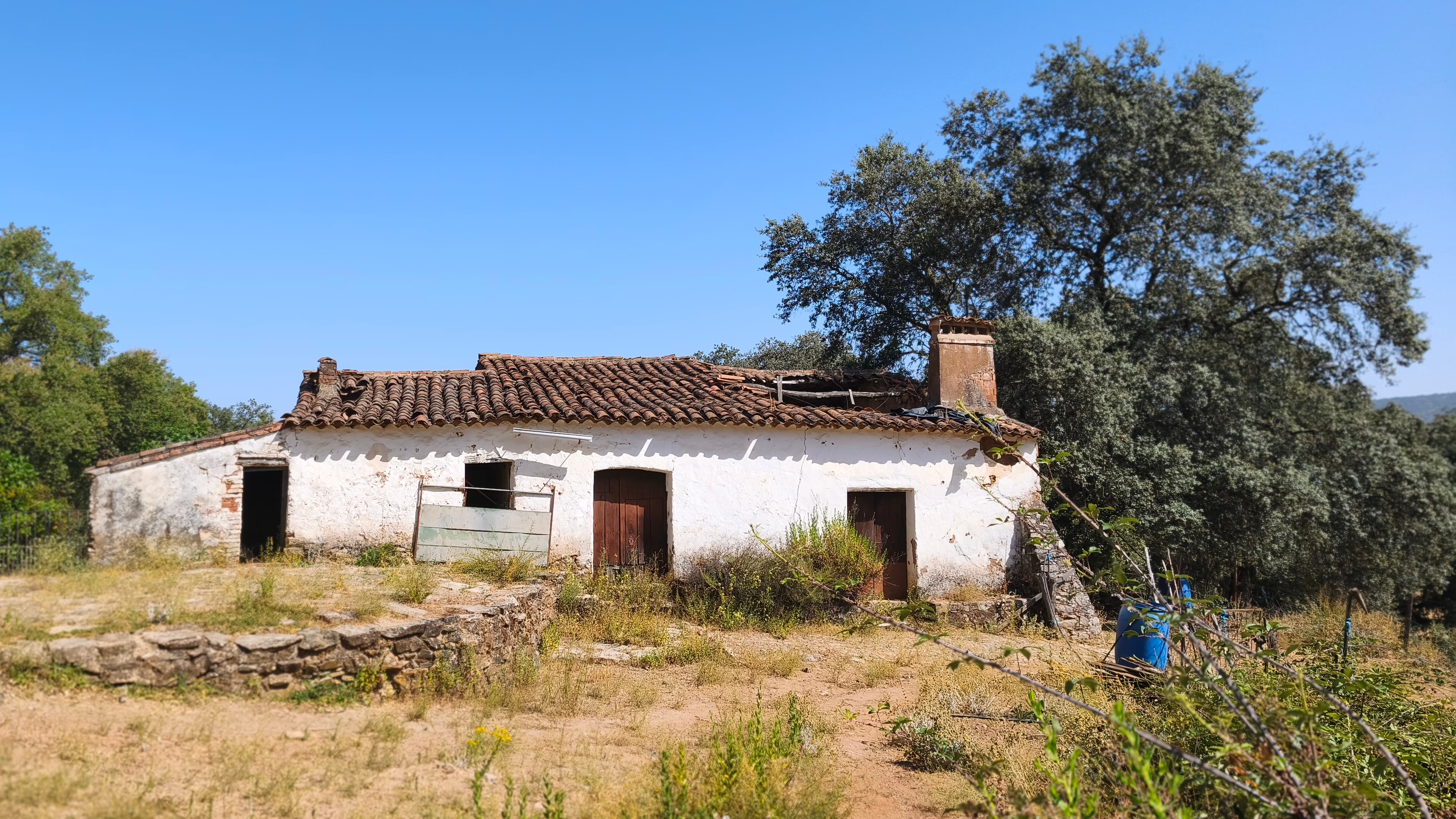 Magnificent 10-Hectare Shaded Estate with its Own Microclimate