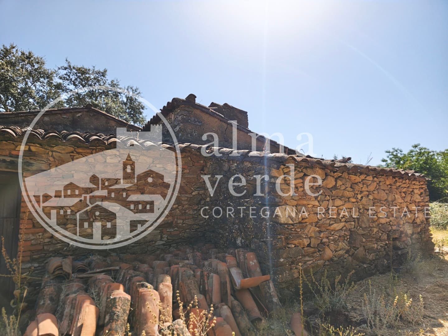 Magnificent 10-Hectare Shaded Estate with its Own Microclimate - Image 14