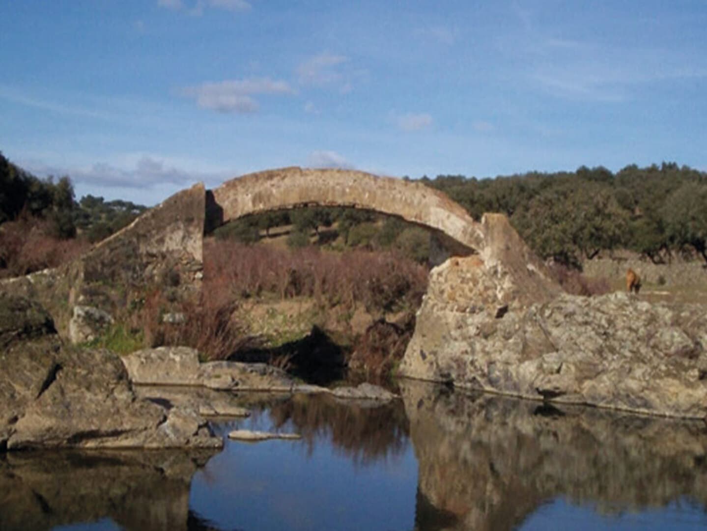Finca en plena Cañada Real histórica de trashumancia a Portugal. - Image 11