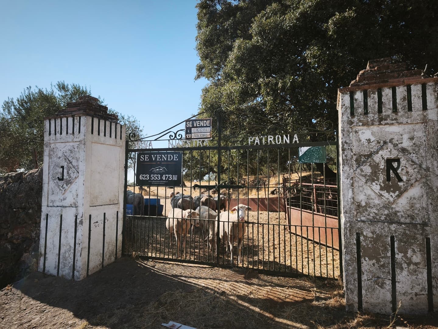Finca en plena Cañada Real histórica de trashumancia a Portugal. - Image 4