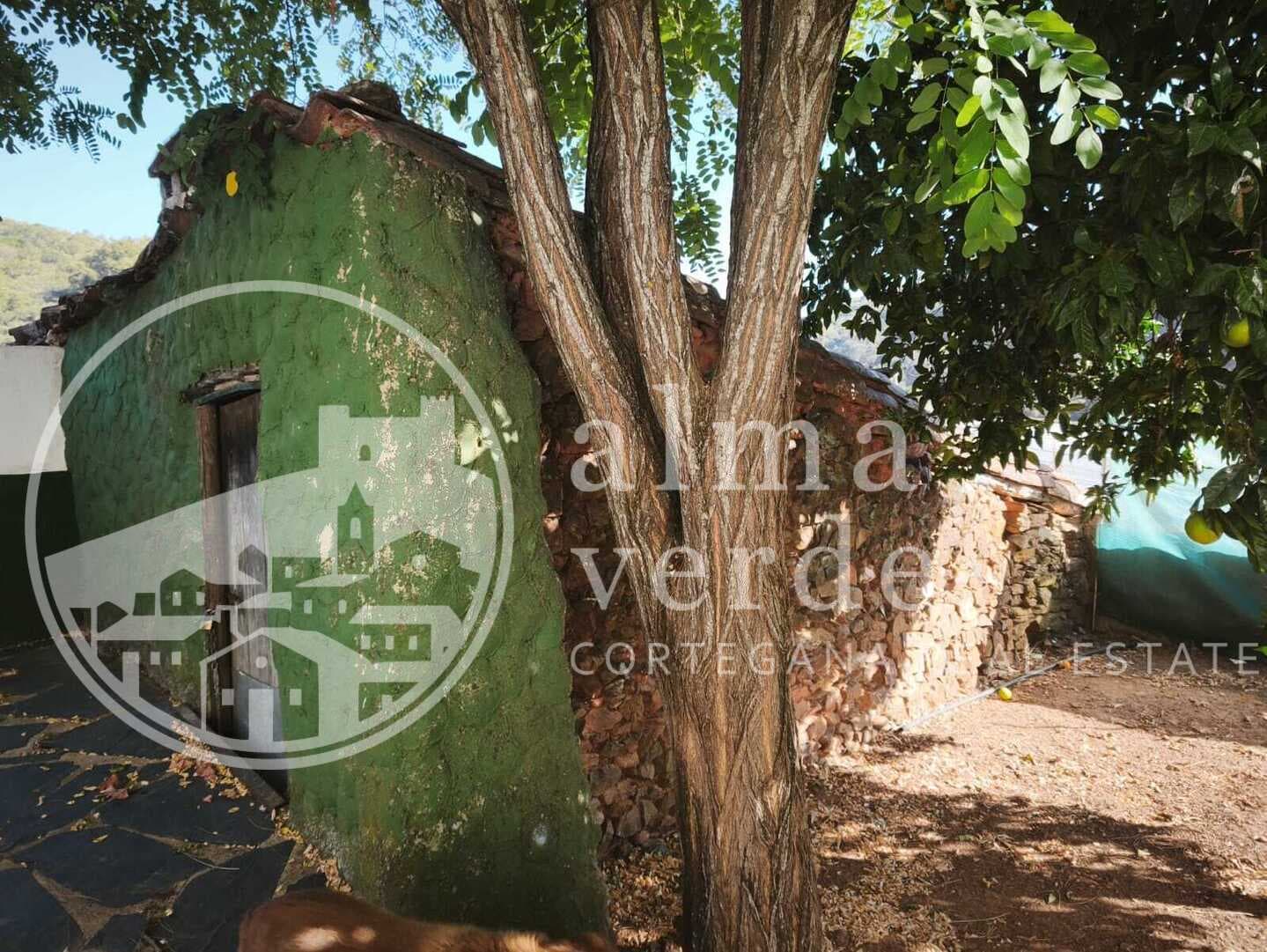 October to June Rental Opportunity: 3-Bedroom Home in the Charming Hamlet of Los Andreses - Image 12