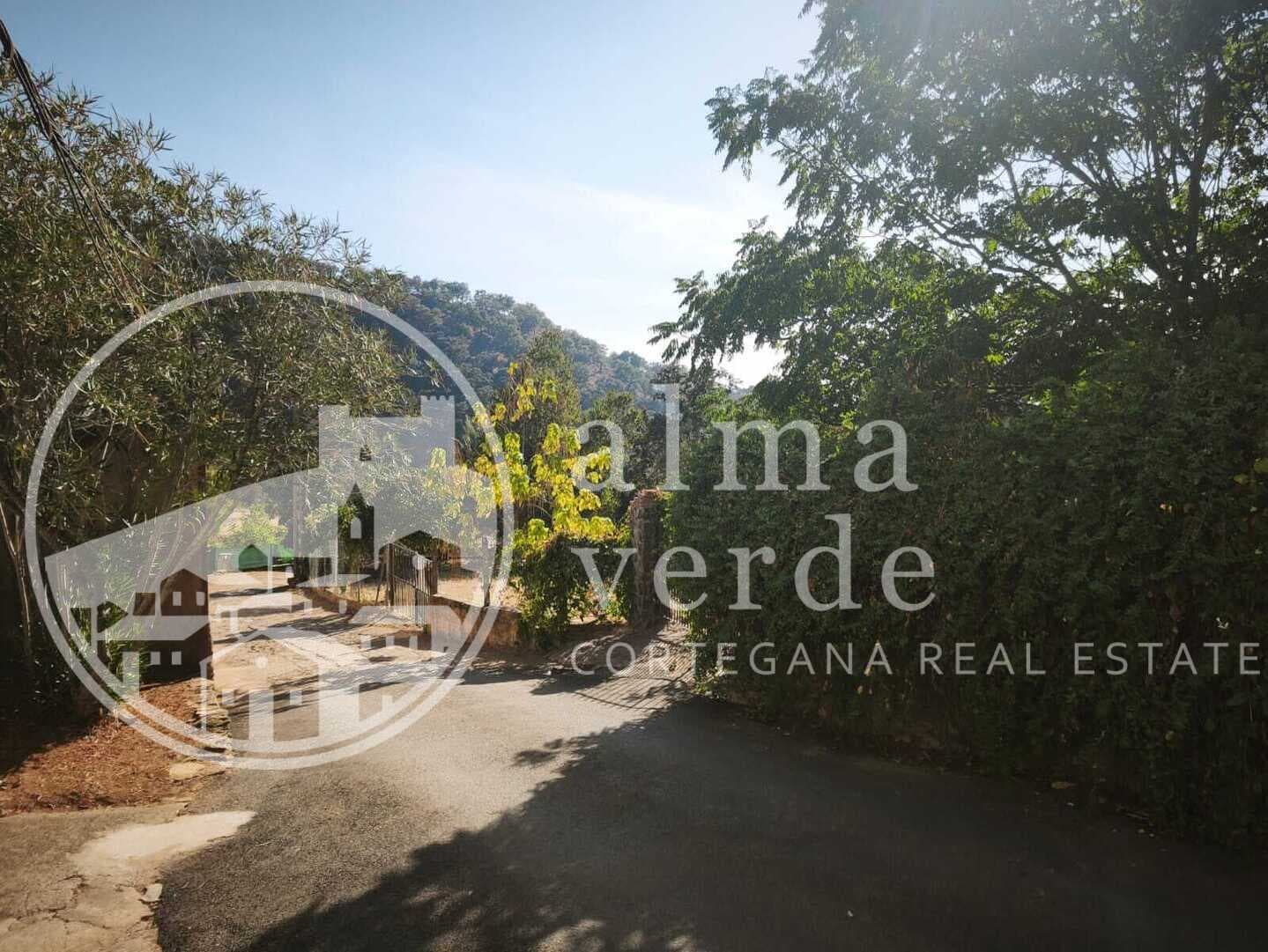 October to June Rental Opportunity: 3-Bedroom Home in the Charming Hamlet of Los Andreses - Image 15